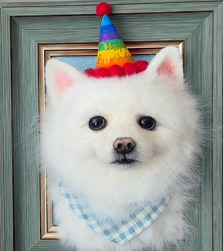 wool felt pets' customizations