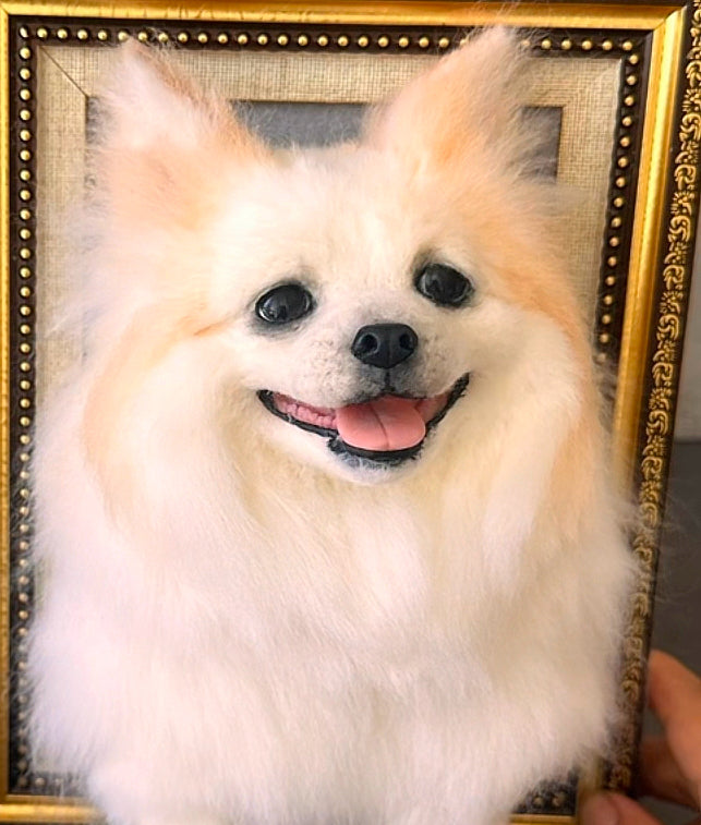 wool felt pets' customizations