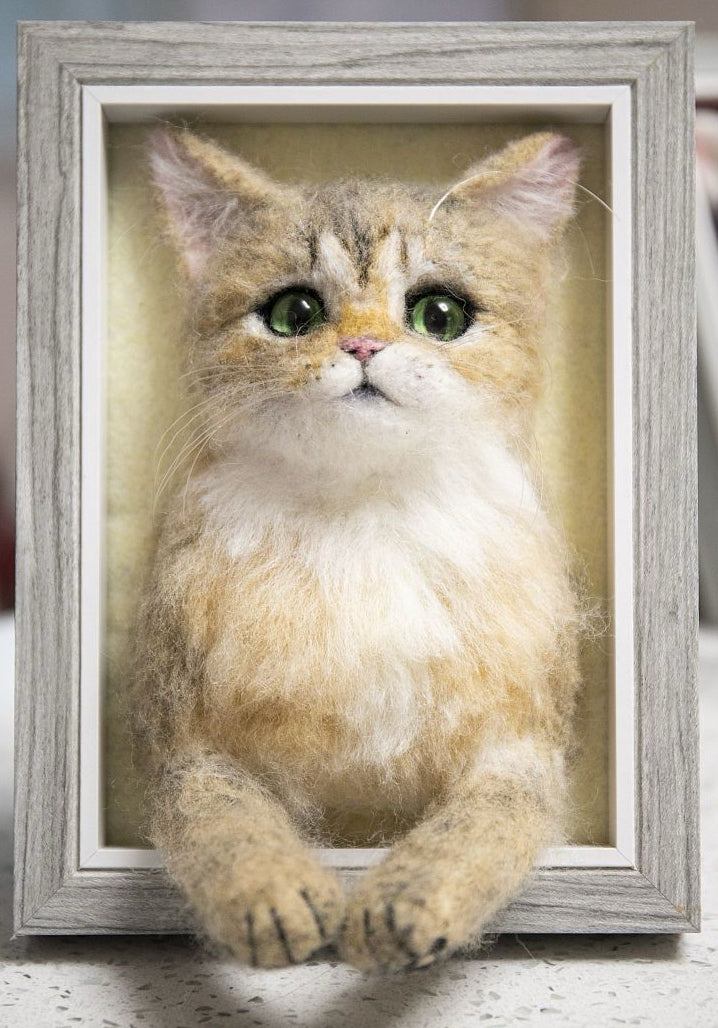 wool felt pets' customizations
